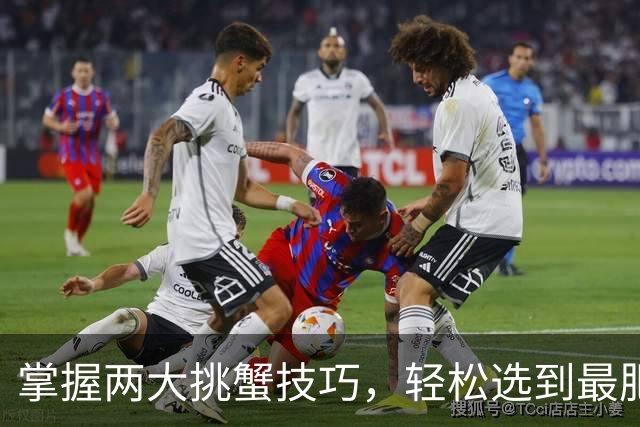 掌握两大挑蟹技巧，轻松选到最肥的梭子蟹